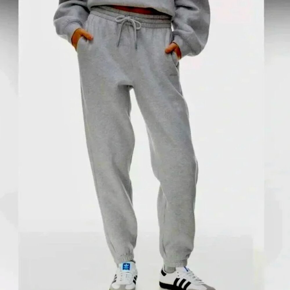 Aritzia TNA Cozy Sweatfleece Boyfriend Jogger Grey Size Small